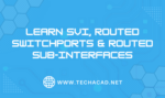 SVI, Routed Switch port & Routed Sub-interfaces
