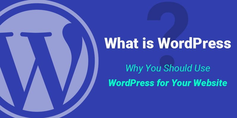 What is WordPress? A Complete Guide for Beginner’s