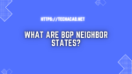 bgp neighbor states