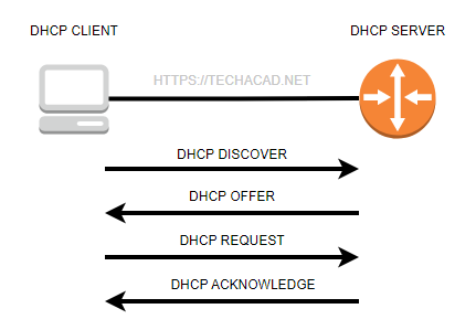What is DHCP? Explain DORA Process ?